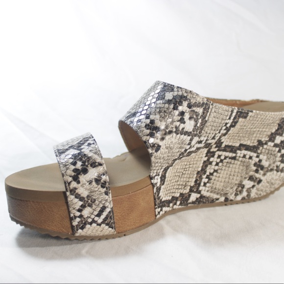 Snake - Picture 2 of 2